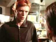 The Man Who Fell To Earth