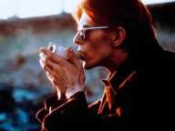The Man Who Fell To Earth