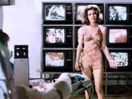 The Man Who Fell To Earth