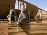 Evan Almighty