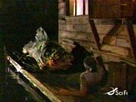 Frankenfish