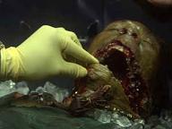 Frankenfish