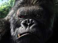 King Kong