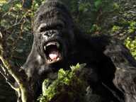 King Kong
