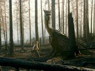 Eragon
