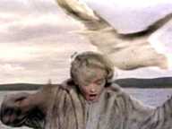 The Birds