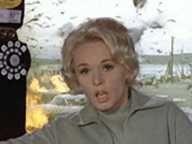 The Birds