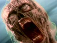 Poltergeist 2. The Other Side