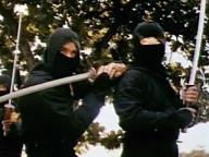 Ninjas, Condors 13