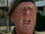 The Wild Geese
