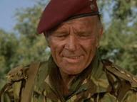 The Wild Geese