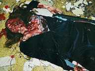 Ginger Snaps-2. Unleashed