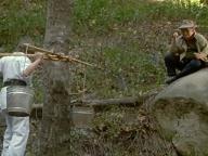 3 Ninjas