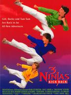 3 Ninjas Kick Back