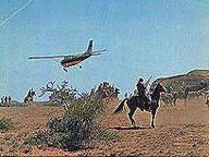 Africa: Texas Style