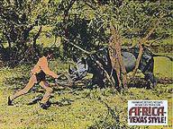 Africa: Texas Style