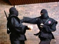 American Ninja-2: The Confrontation
