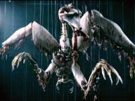 Anamorph