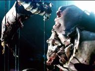 Anamorph