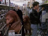 Bill and Ted's Bogus Journey