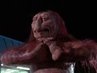 Bill and Ted's Bogus Journey