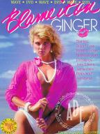 «ВАЛИТЕ ВСЕ НА ДЖИНДЖЕР» (Blame It on Ginger)