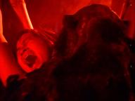 Brides of Blood