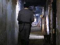Il buono, il brutto, il cattivo