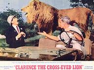 Clarence, the Cross-Eyed Lion