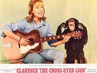 Clarence, the Cross-Eyed Lion
