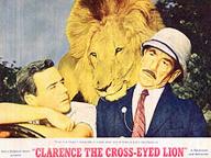 Clarence, the Cross-Eyed Lion