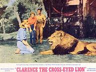 Clarence, the Cross-Eyed Lion