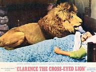 Clarence, the Cross-Eyed Lion