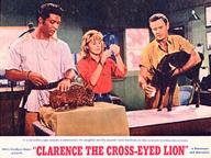 Clarence, the Cross-Eyed Lion