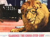 Clarence, the Cross-Eyed Lion