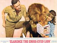 Clarence, the Cross-Eyed Lion