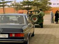 Den demokratiske terroristen