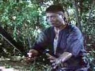 Dung fong tuk ying