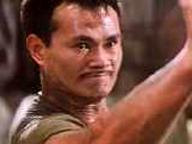 Dung fong tuk ying
