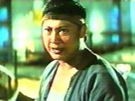 Dung fong tuk ying