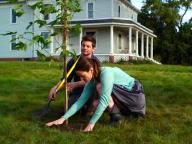 Fertile Ground