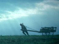 Fiddler on the Roof