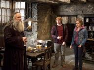 Harry Potter and the Deathly Hallows: Part 2