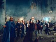 Harry Potter and the Deathly Hallows: Part 2