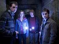 Harry Potter and the Deathly Hallows: Part 2