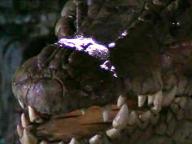 Krocodylus