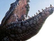 Krocodylus