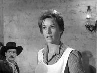 The Man Who Shot Liberty Valance