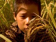 Salinui chueok