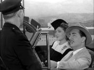 Shadow of the Thin Man